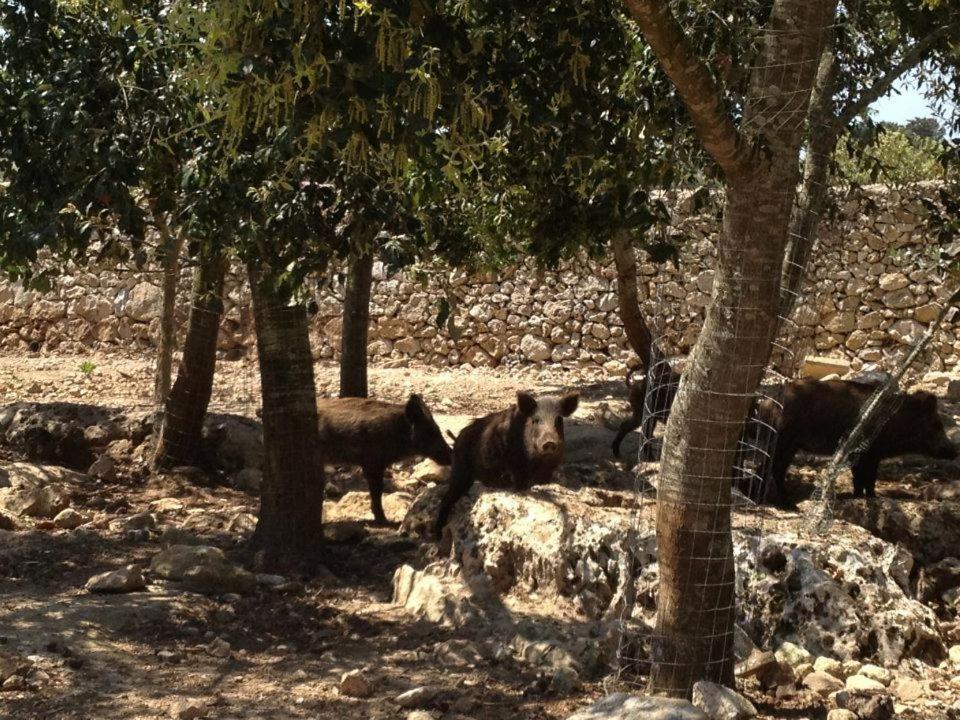 Masseria Autigne Otranto Luaran gambar