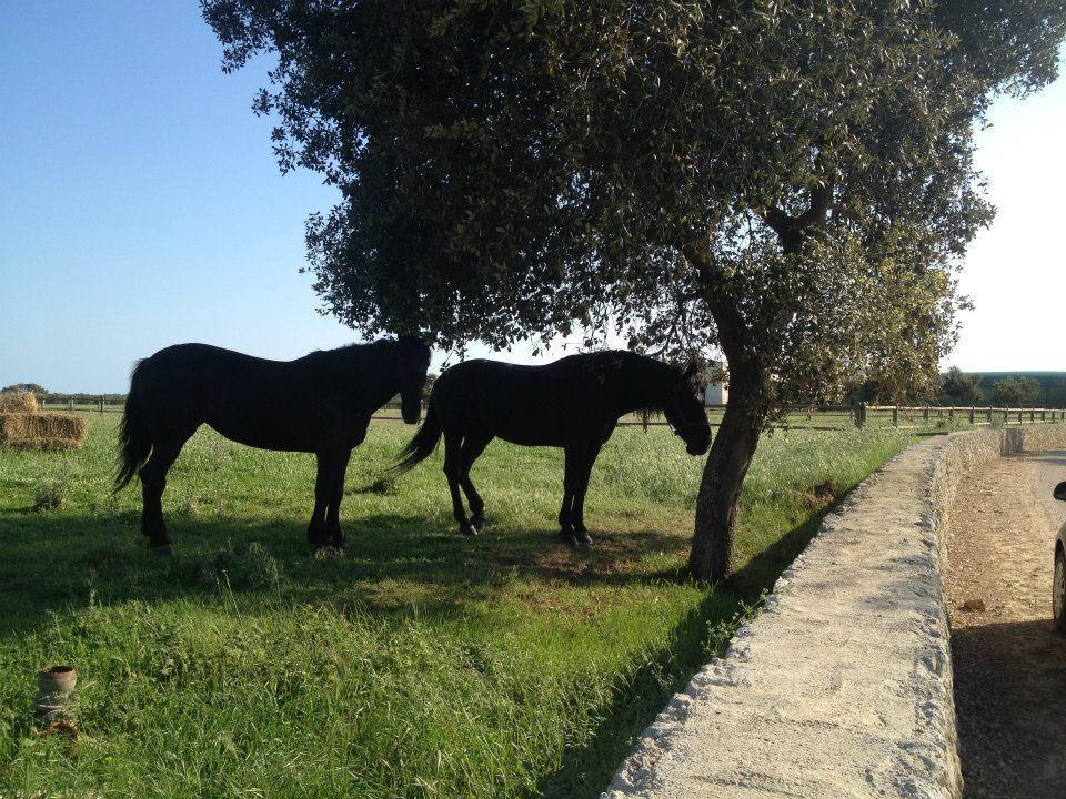 Masseria Autigne Otranto Luaran gambar